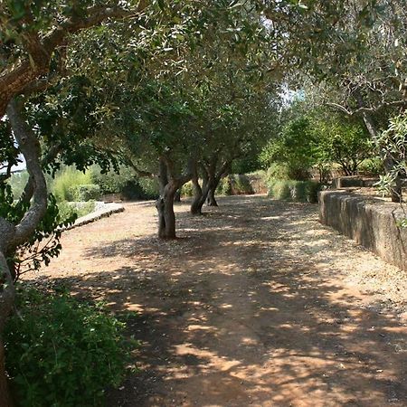 Appartamento In Villa Fortunata Terra Marina Serra Ngoại thất bức ảnh