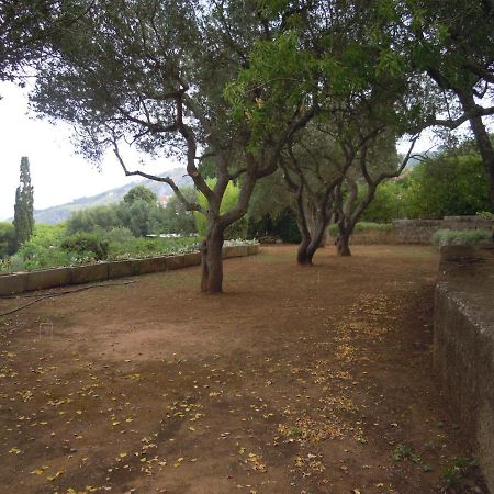 Appartamento In Villa Fortunata Terra Marina Serra Ngoại thất bức ảnh
