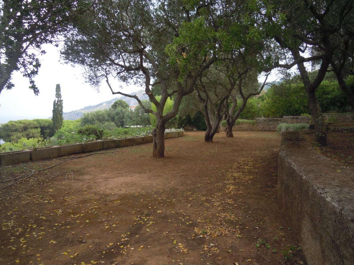 Appartamento In Villa Fortunata Terra Marina Serra Ngoại thất bức ảnh